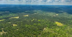 Whitewater Creek Aviation Farm