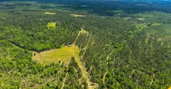 Whitewater Creek Aviation Farm