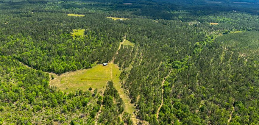 Whitewater Creek Aviation Farm