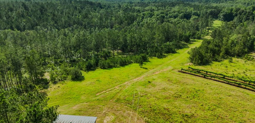 Whitewater Creek Aviation Farm