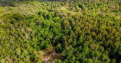 Whitewater Creek Aviation Farm