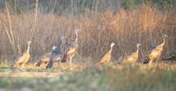 Cedar Creek Lancaster Estate