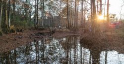 Cedar Creek Lancaster Estate