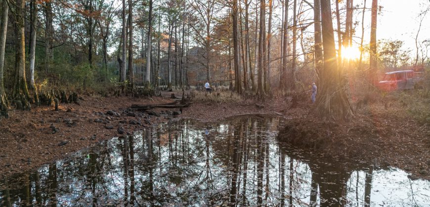 Cedar Creek Lancaster Estate