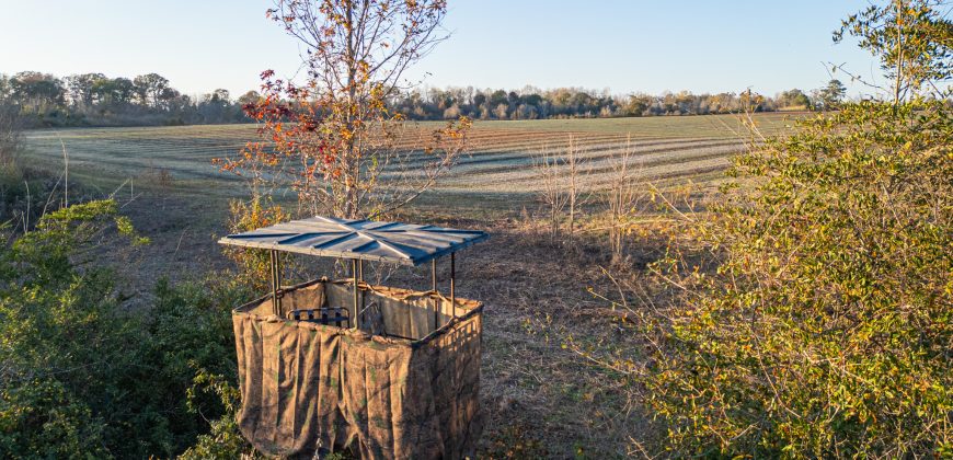 Cedar Creek Lancaster Estate