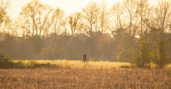 Cedar Creek Lancaster Estate