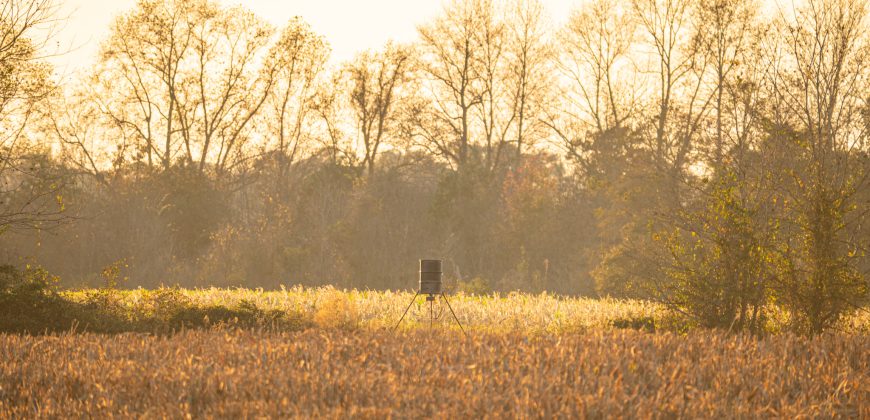 Cedar Creek Lancaster Estate