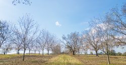 Cedar Creek Lancaster Estate