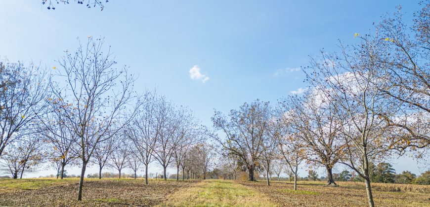 Cedar Creek Lancaster Estate