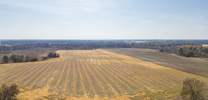 Cedar Creek Lancaster Estate