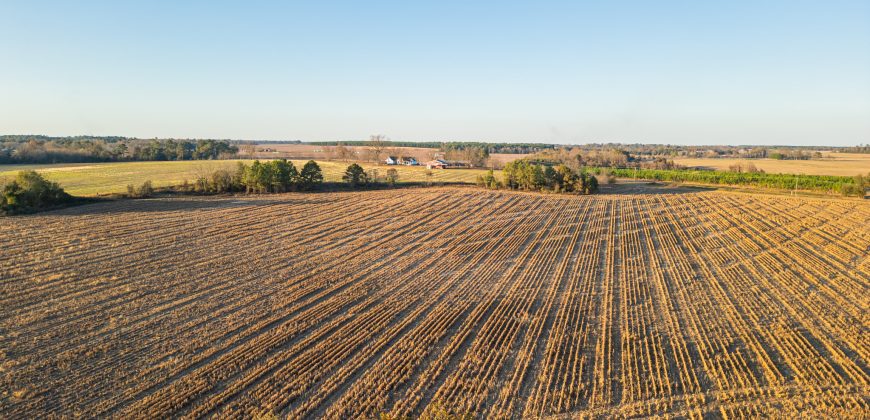 Cedar Creek Lancaster Estate