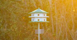 Cedar Creek Lancaster Estate