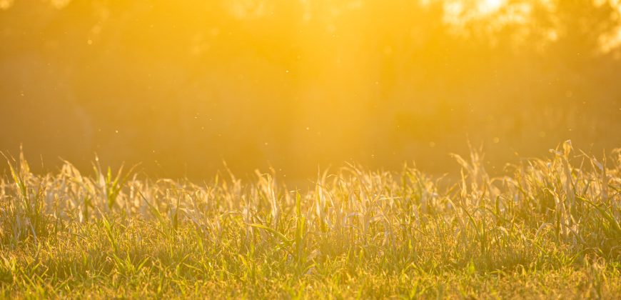 Cedar Creek Lancaster Estate