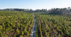 Dodge County Hideaway