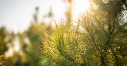 Dodge County Hideaway