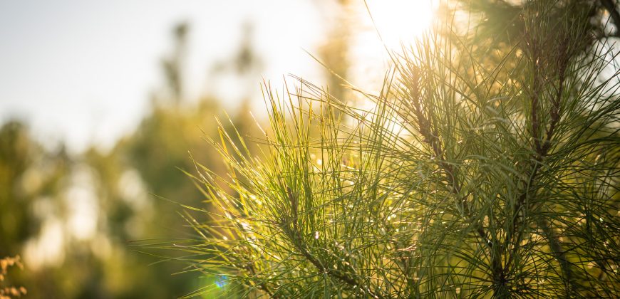 Dodge County Hideaway