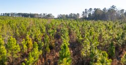 Dodge County Hideaway