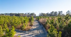 Dodge County Hideaway