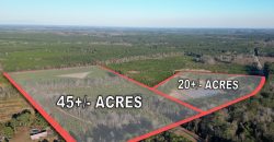 Dodge County Sanctuary