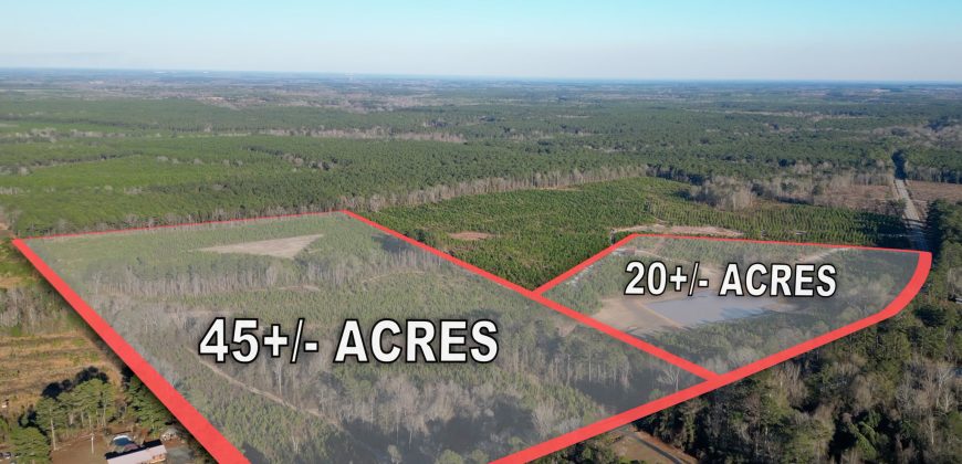 Dodge County Sanctuary