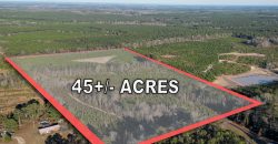 Dodge County Sanctuary