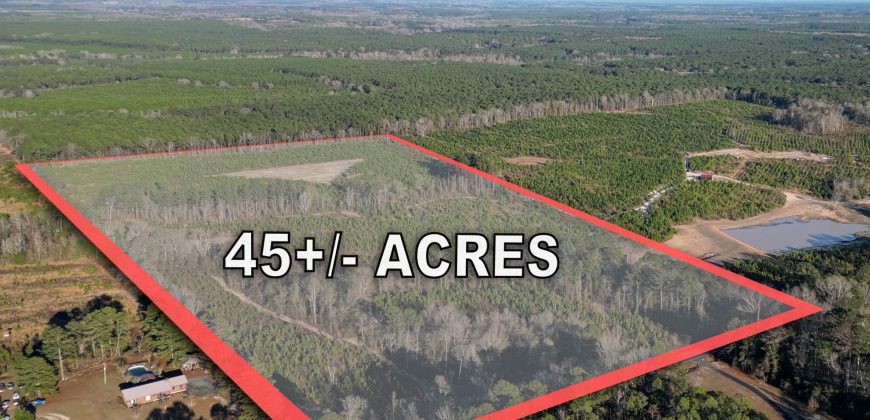 Dodge County Sanctuary