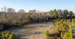 Dodge County Sanctuary