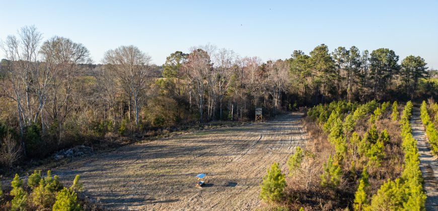 Dodge County Sanctuary