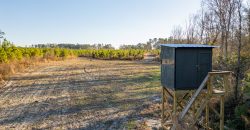 Dodge County Sanctuary