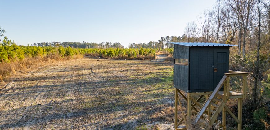 Dodge County Sanctuary