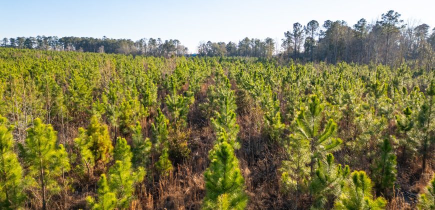 Dodge County Sanctuary