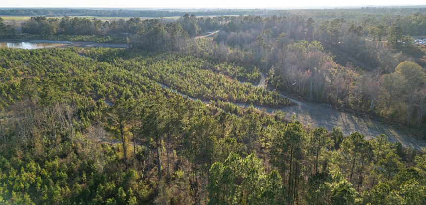 Dodge County Sanctuary