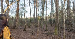 Dodge County Sanctuary