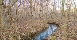 Dodge County Sanctuary