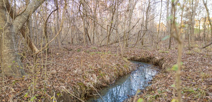 Dodge County Sanctuary