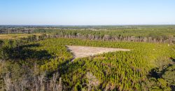 Dodge County Sanctuary