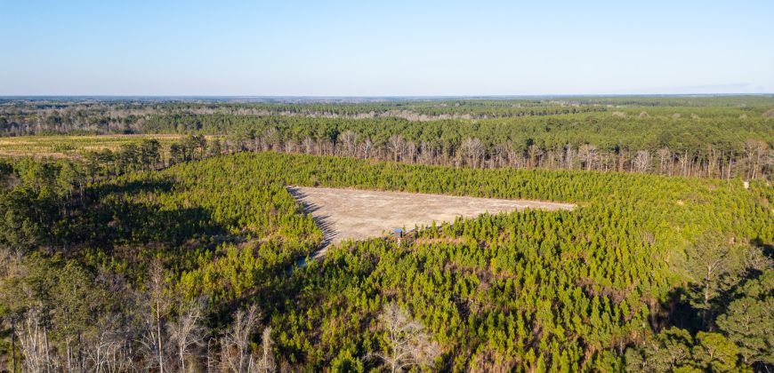 Dodge County Sanctuary