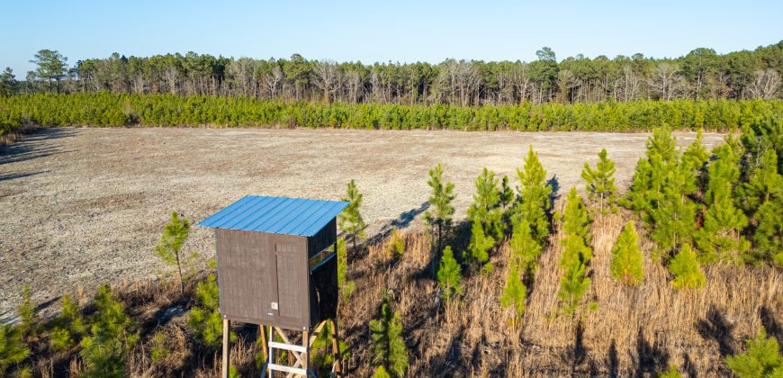 Dodge County Sanctuary