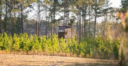 Dodge County Sanctuary