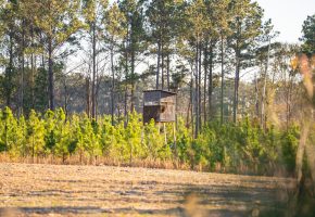 Dodge County Sanctuary