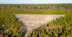 Dodge County Sanctuary