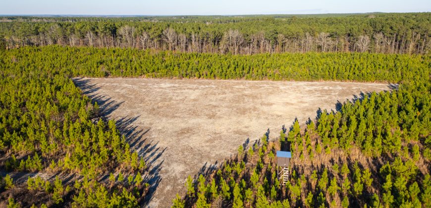 Dodge County Sanctuary