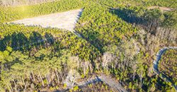 Dodge County Sanctuary