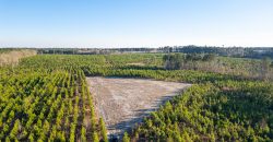 Dodge County Sanctuary