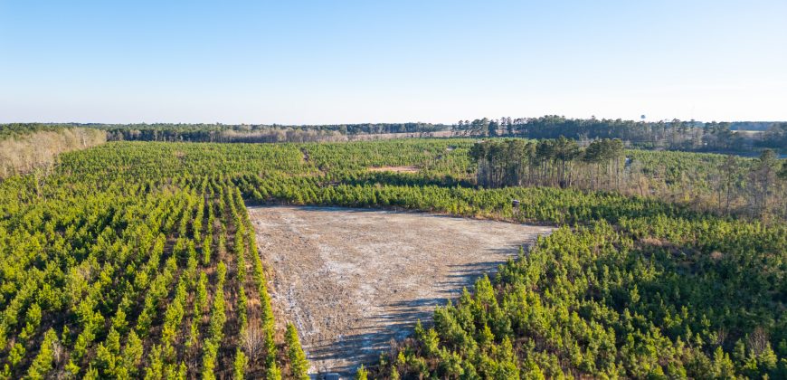 Dodge County Sanctuary