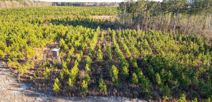 Dodge County Sanctuary