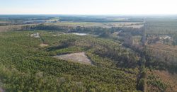 Dodge County Sanctuary