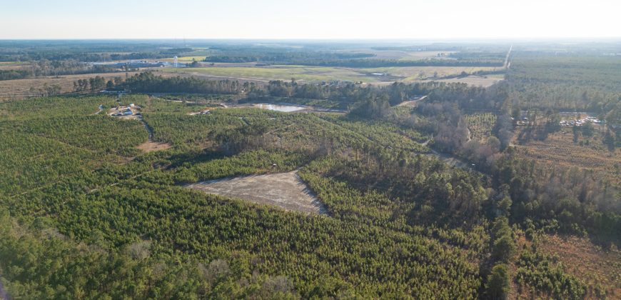 Dodge County Sanctuary