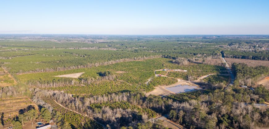 Dodge County Sanctuary