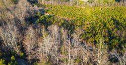 Dodge County Sanctuary